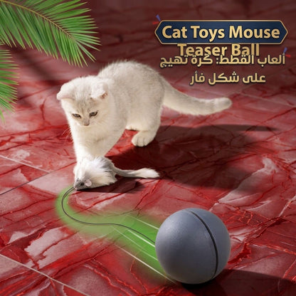 Cat Toys Mouse Teaser Ball   ألعاب قطط تفاعلية – لعبة الفأر والكرة
