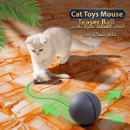 Cat Toys Mouse Teaser Ball   ألعاب قطط تفاعلية – لعبة الفأر والكرة
