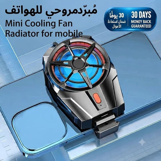 Mini Cooling Fan Radiator