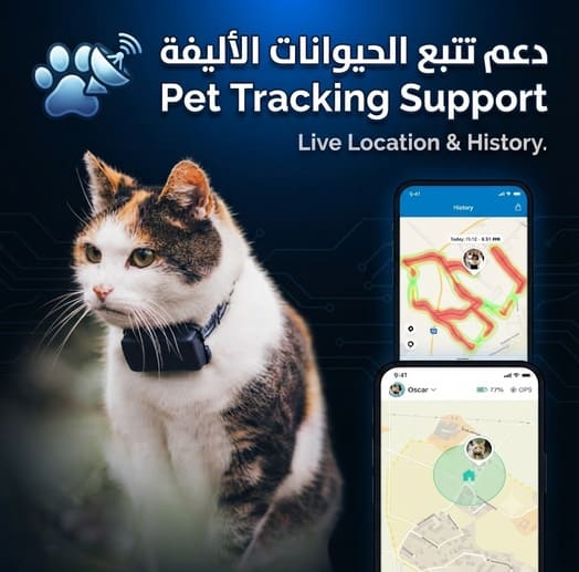Mini GPS Tracker